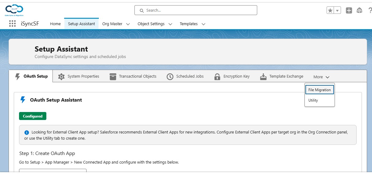 iSyncSF Setup Assistant wizard showing OAuth, System Properties, and Scheduled Jobs configuration tabs
